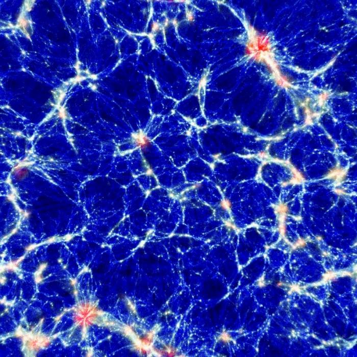 Numerical simulation of the cosmic web